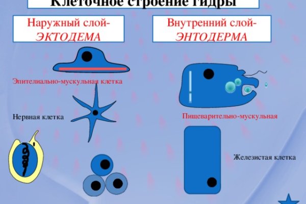 Не работает сайт блэкспрут bs2web top