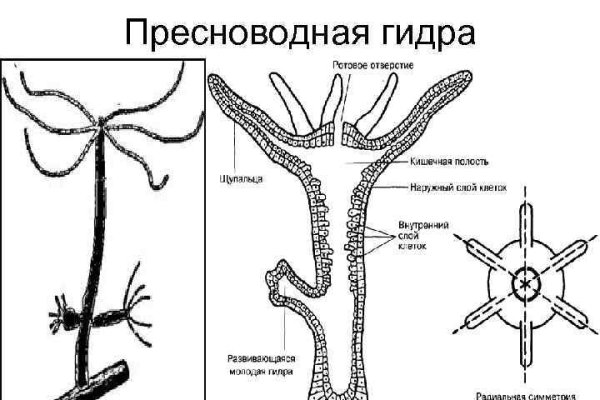 Блэк спрут не работает сегодня