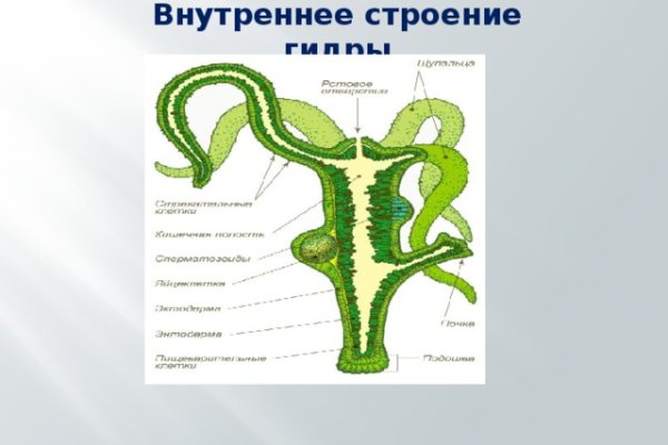 Блэкспрут 2fa bs2webes net