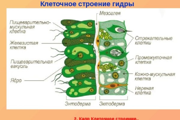 Адрес блэк спрут